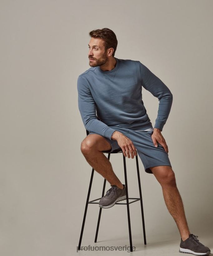 Kläder se Profuomo män Tröja blå N8XR4235