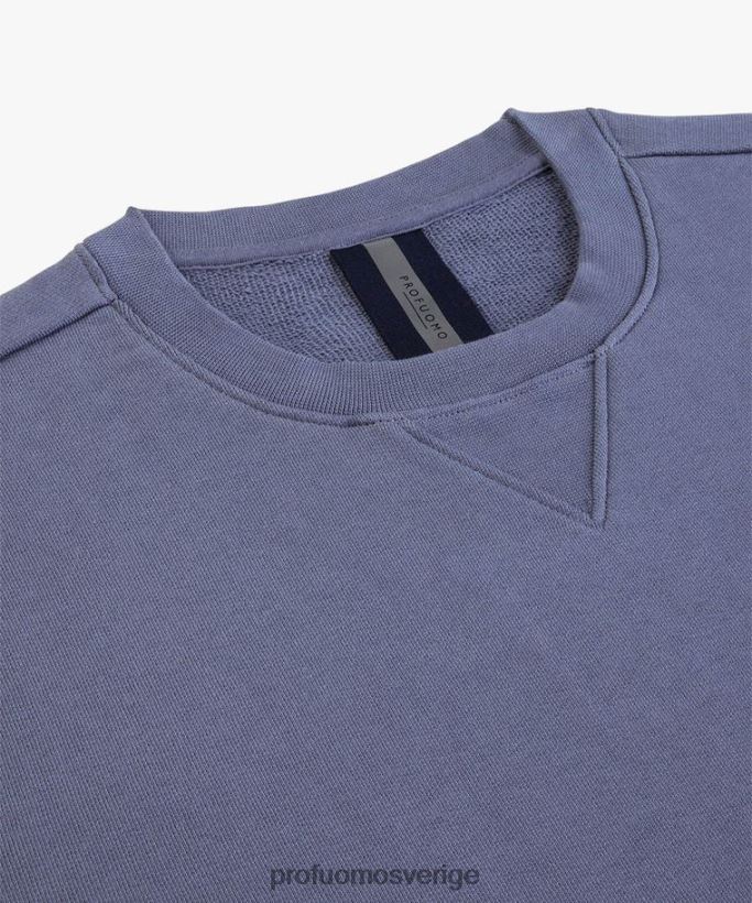 Kläder se Profuomo män Tröja blå N8XR4235