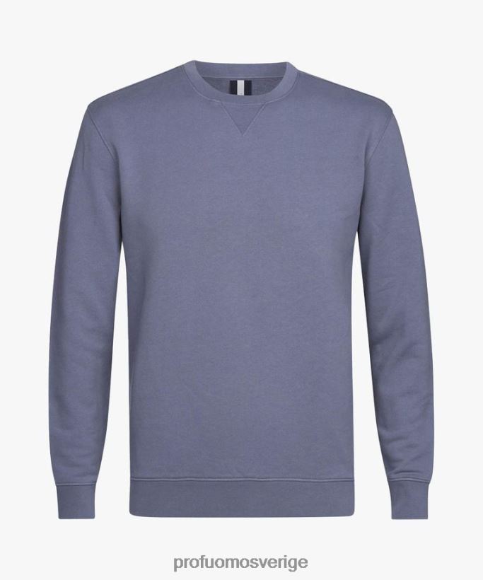 Kläder se Profuomo män Tröja blå N8XR4235