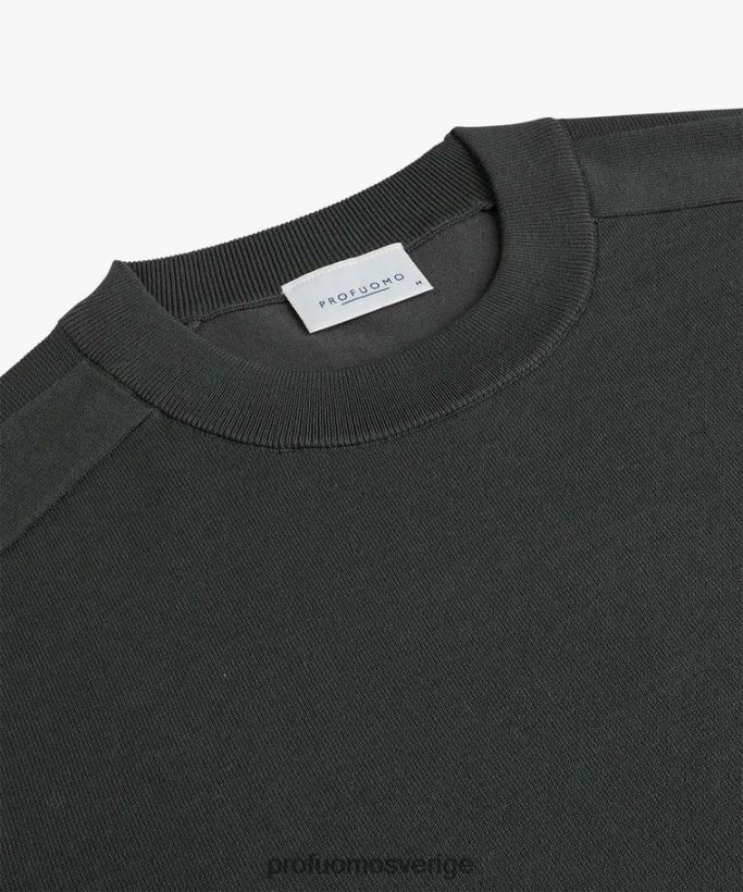 Kläder se Profuomo män lyxig crewneck grön N8XR4266