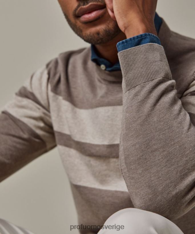 Kläder se Profuomo män randig crewneck brun N8XR4231