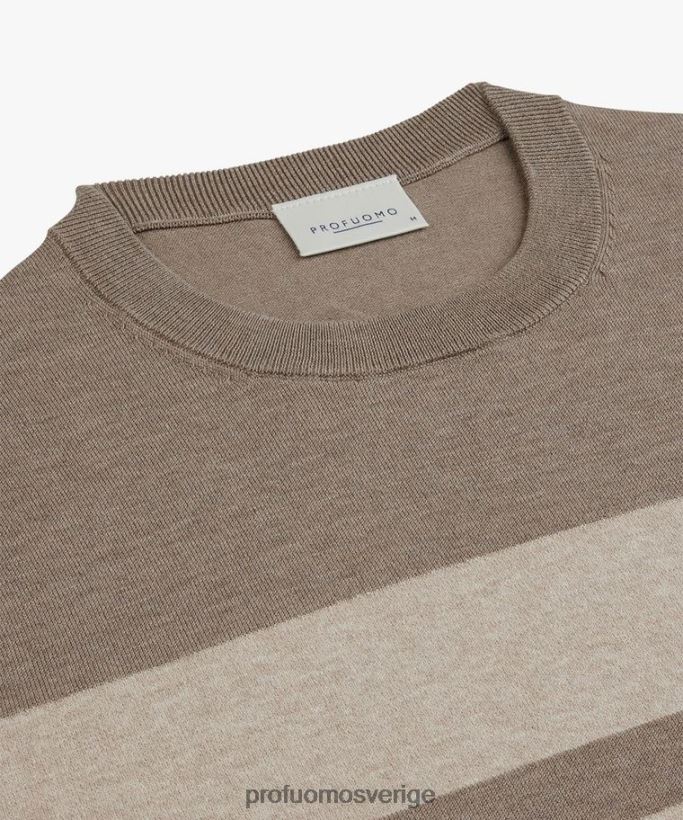 Kläder se Profuomo män randig crewneck brun N8XR4231