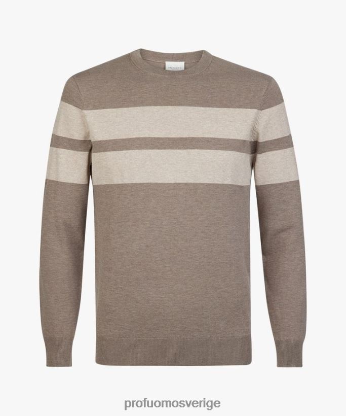 Kläder se Profuomo män randig crewneck brun N8XR4231