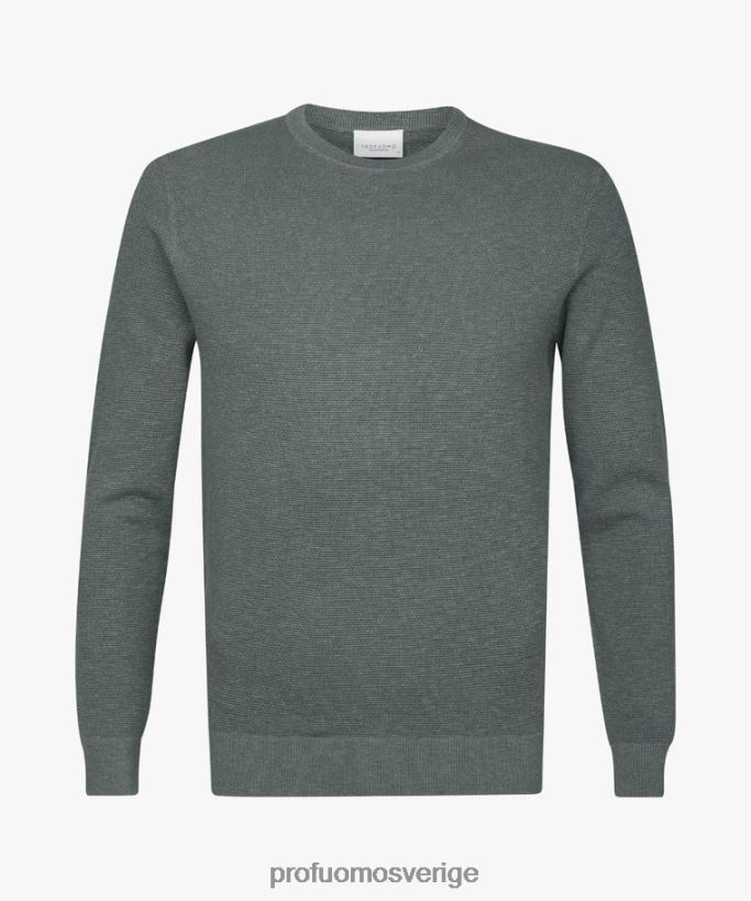 Kläder se Profuomo män texturerad crewneck grön N8XR4251