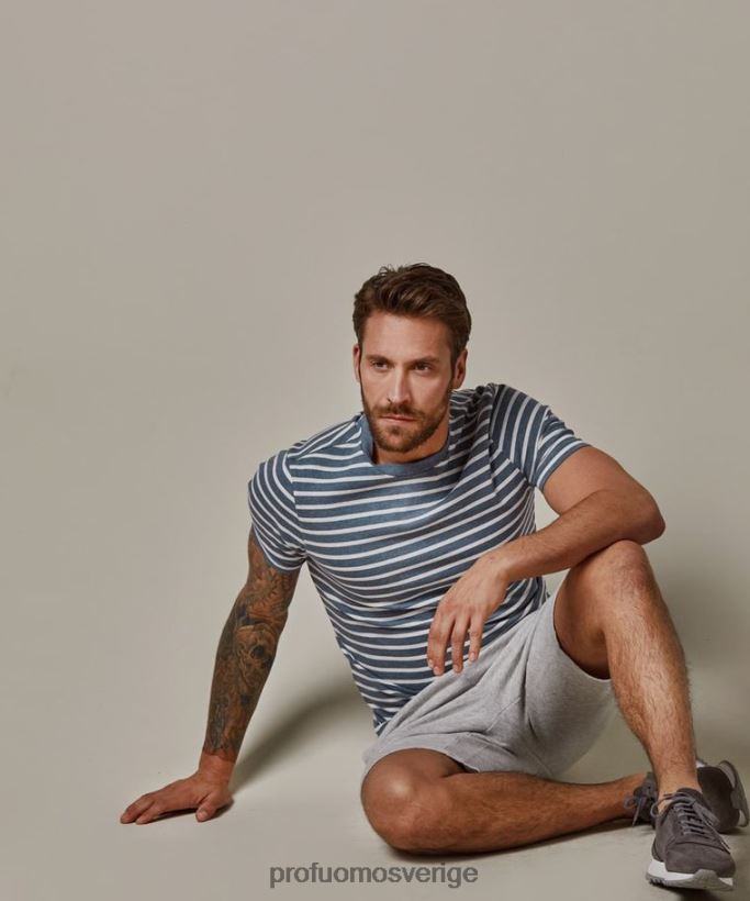 Kläder se Profuomo män randig t-shirt blå N8XR4217