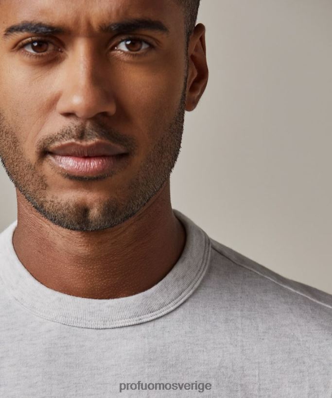 Kläder se Profuomo män t-shirt grå N8XR4212