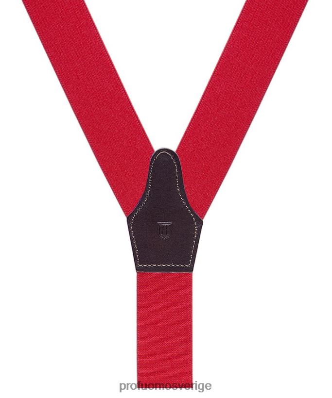 Tillbehör se Profuomo män tandställning röd N8XR4684